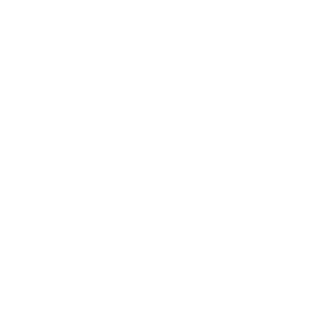 DX consulting / A.I. engineering