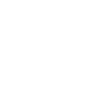 Career Support Services