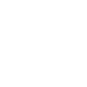 Web system development